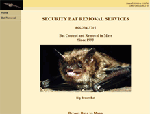 Tablet Screenshot of bat-removal-control-mass.com